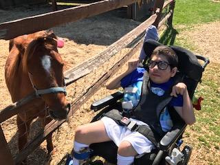 a boy in a wheelchair meeting a pony